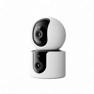 Home security